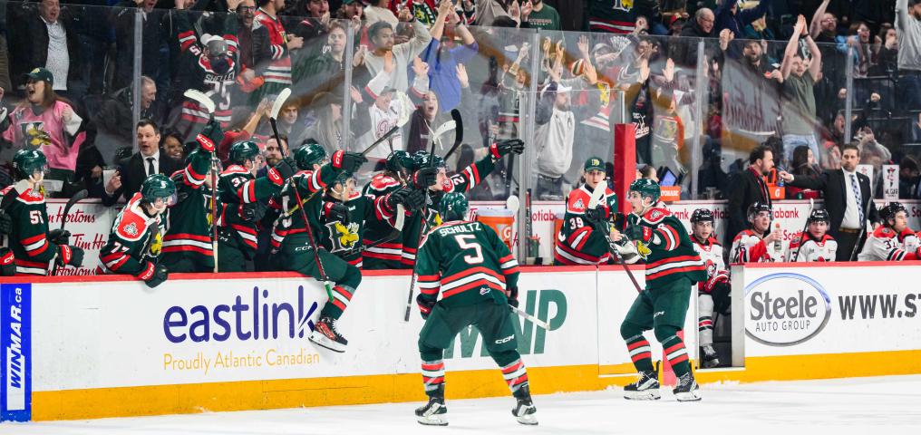 Halifax Mooseheads Game - Credit Trevor MacMillan